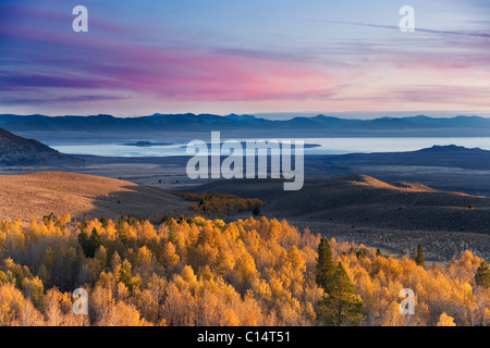 Giallo autunno aspens e Mono Lake e il sunrise in California Foto Stock