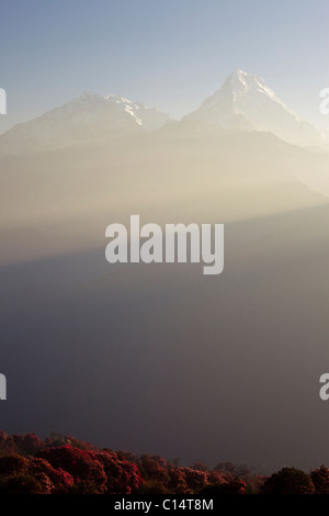 Annapurna 1 e Annapurna Sud come visto da Poon Hill. Foto Stock