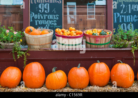 Zucche sul display Laurier street Montreal Foto Stock