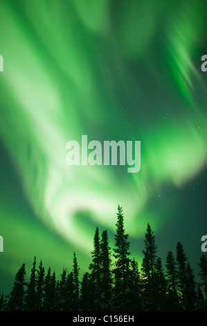 Aurora Boreale o luci del nord, nord-Ovest Territori, CANADA Foto Stock