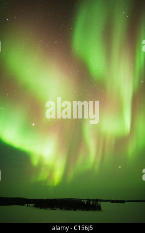 Aurora Boreale o luci del nord, nord-Ovest Territori, CANADA Foto Stock