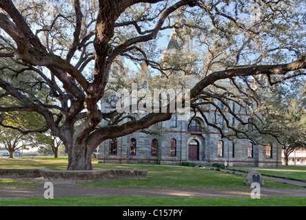 Tribunale della contea di Goliad, Texas. Foto Stock