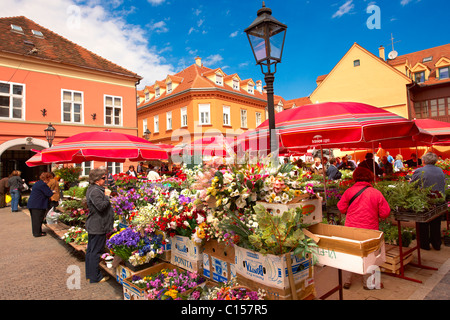 Dolac Flower Market [ Tržnica Dolac ] , Zagabria, Croazia Foto Stock