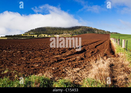 Appena un campo arato Warrenheip presso la quale si trova vicino alla città regionale di Ballarat in Victoria Australia. Foto Stock