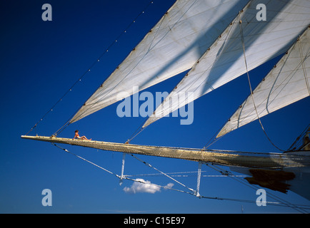 Veliero Star Flyer, Dalmazia, Dalmazia, Croazia Foto Stock