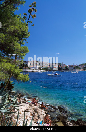 Hvar, isola di Hvar Dalmazia, Dalmazia, Croazia Foto Stock