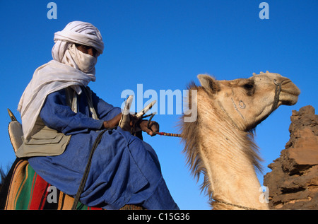 Il Tuareg a dorso di un cammello, Um el Ma Oasis, Mandara laghi, Libia, Africa Foto Stock