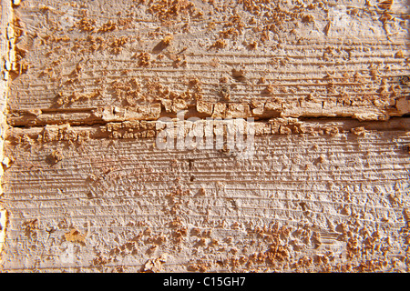 Peeling arancione vernice in prossimità di sfondo Foto Stock