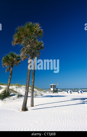 Clearwater Beach, San Pietroburgo, Florida, Stati Uniti d'America Foto Stock