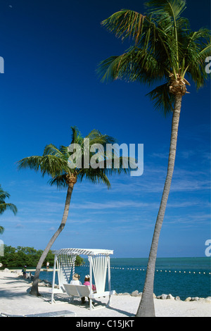 Giardino Cove, Key Largo, Florida Keys, Florida, Stati Uniti d'America Foto Stock