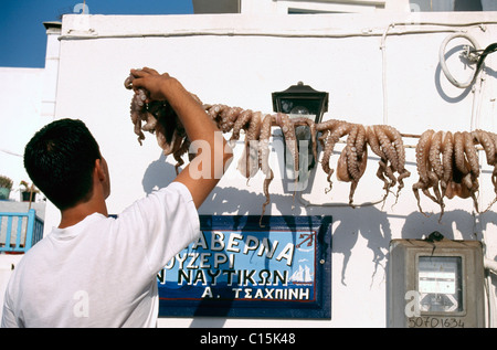 Polipi, taverna, Naoussa, isola di Paros, Cicladi, Grecia Foto Stock