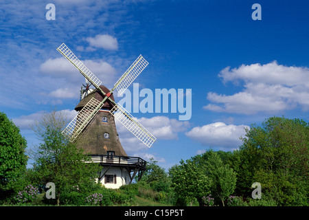 Il mulino a vento, Pommerby nella regione Angeln sul fiume Schlei, Schleswig-Holstein, Germania, Europa Foto Stock