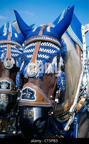 Adornata di cavalli, Oktoberfest Monaco di Baviera, Germania Foto Stock