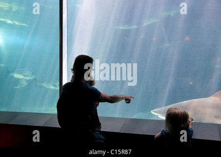 Uomo e bambino guardando il pesce a cape town Aquarium Foto Stock