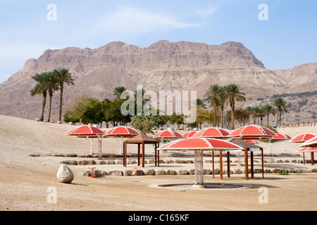 Ein Gedi oase presso il Mar Morto. Israele Foto Stock