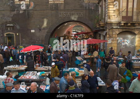 La Pescheria il mercato del pesce in centro di Catania Sicilia Italia Europa Foto Stock