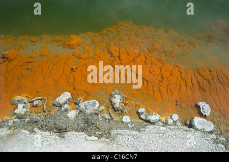 Pool di Champagne, dettaglio Wai-o-Tapu piscine termali, Rotorua, Isola del nord, Nuova Zelanda Foto Stock