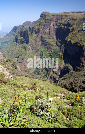 Vista su Geech abisso del Simien Mountains Foto Stock