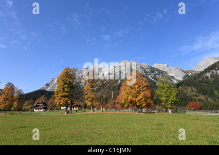 Di Dachstein, Ramsau, Stiria, Austria, Europa Foto Stock