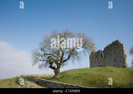 Thirlwall castello vicino Greenhead in Northumberland Foto Stock