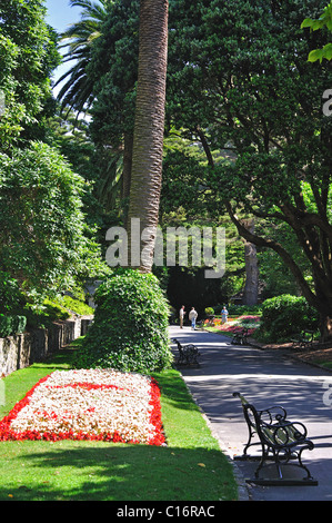 Colorate composizioni floreali, Wellington Botanic Garden, Wellington, Regione di Wellington, Isola del nord, Nuova Zelanda Foto Stock