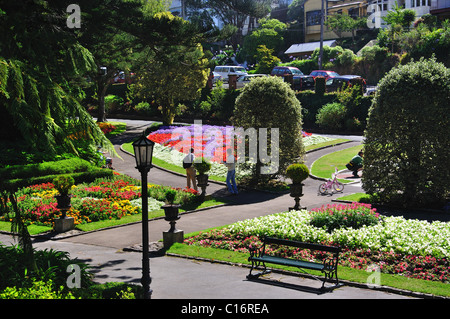 Colorate composizioni floreali, Wellington Botanic Garden, Wellington, Regione di Wellington, Isola del nord, Nuova Zelanda Foto Stock