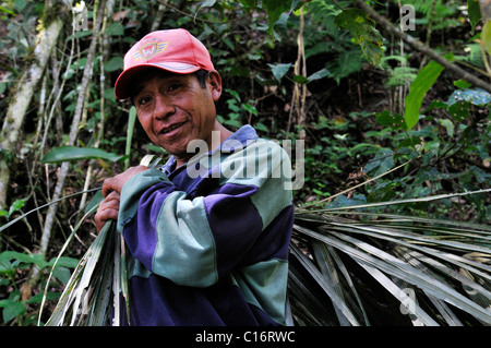 Contadino con foglie di palmo per coprire il tetto della sua capanna, Monte Sinay Village, Caranavi, Bolivia, Sud America Foto Stock