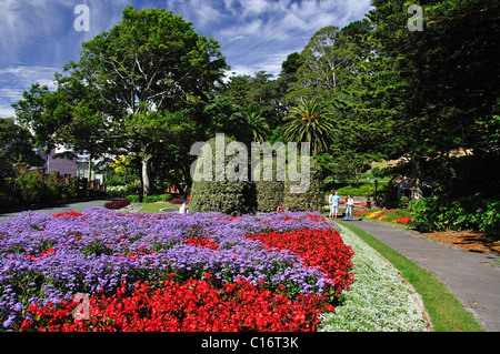 Colorate composizioni floreali, Wellington Botanic Garden, Wellington, Regione di Wellington, Isola del nord, Nuova Zelanda Foto Stock