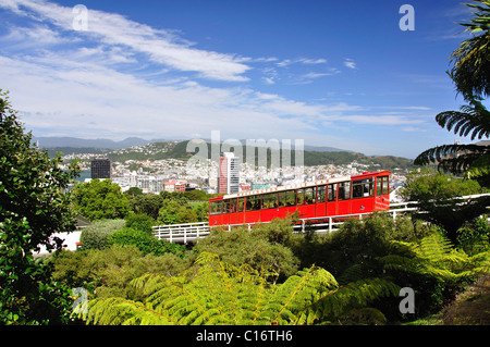 Wellington Funivia, Wellington Botanic Garden, Kelburn, Wellington, Regione di Wellington, Isola del nord, Nuova Zelanda Foto Stock