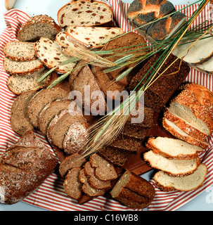 Diversi tipi di pane con grano Foto Stock