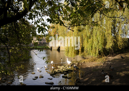 Ponte sul fiume Wye in Bakewell - Peak District Foto Stock