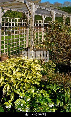 Un pergolato è una passerella in legno telaio utilizzato in un paesaggistico giardino Foto Stock