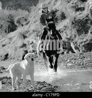 I giovani adolescenti ragazza inglese equitazione pony di lei in un torrente, fiume, adolescente, 13, 14, 15, anno, anni vecchio, persona, femmina, pony, Foto Stock