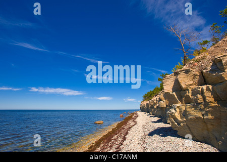 Panga scogliere, Panga, isola di Saaremaa, Mar Baltico, Estonia, paesi baltici, Europa nord-orientale Foto Stock