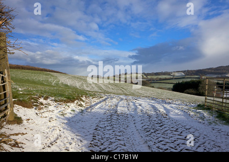 Campi in inverno il sole, vicino Pilsden penna, Dorset, West Country, Inghilterra, UK, Regno Unito, GB Gran Bretagna, Isole britanniche, UE Foto Stock