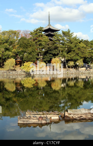 Le tartarughe marine in Sarusawa ike stagno, con pagoda di Kofuki Ji in background, Nara, Honshu, Giappone. Foto Stock