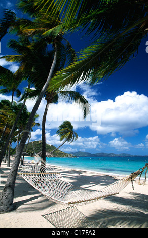 Amaca sotto le palme sulla spiaggia su Peter Island, Isole Vergini Britanniche, Isole dei Caraibi Foto Stock