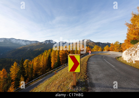 Strada del Nockalm, larici autunnali, Parco Nazionale Nockberge, Carinzia, Austria, Europa Foto Stock