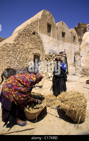 Tunisia Tunisia meridionale, area di Tataouine, ksour's road, Ghoumrassen villaggio berbero, Ghorfaî, tipiche abitazioni Foto Stock