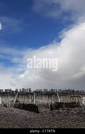 Groyne - Giovanni Gollop Foto Stock
