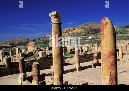 La Tunisia, regione settentrionale, Mejerda altopiano, Bulla Regia sito archeologico, la casa di caccia Foto Stock