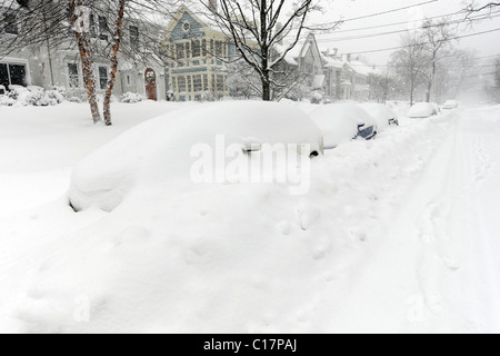 2011 Gennaio blizzard in New Haven, che vide nevicata record per il mese di gennaio. Foto Stock