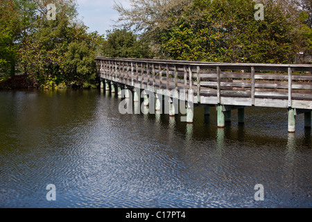 Elevata passerella in legno, Verde Cay zone umide, Centro Natura, Florida, Stati Uniti d'America Foto Stock