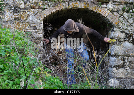 Uomo incappucciato oscurato da incolto piante sotto la cavità arcuata rurale della rovina. Foto Stock