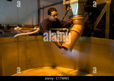 Whitstable Brewery, la produzione della birra per micro birreria Foto Stock