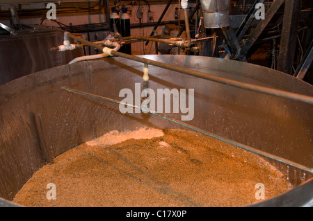 Whitstable Brewery, la produzione della birra per micro birreria Foto Stock