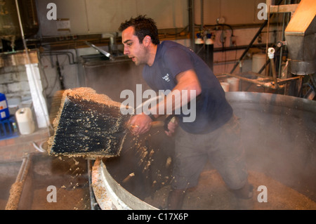 Whitstable Brewery, la produzione della birra per micro birreria Foto Stock