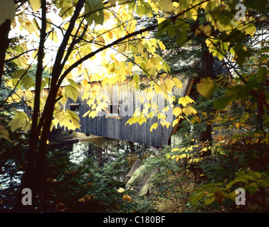 Ponte coperto in autunno fogliame, NH Foto Stock