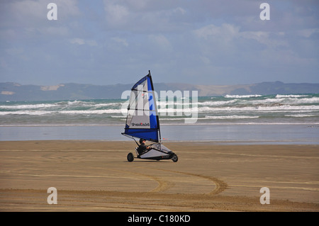 Terra sulla vela Ninety Mile Beach, Northland e North Island, Nuova Zelanda Foto Stock