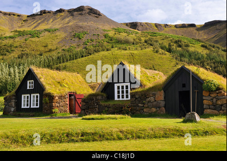 L'aria aperta e il museo di storia locale in Skógar, Byggðasafnið í Skógum, Islanda, Europa Foto Stock